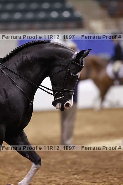 Proof 11r12_1897