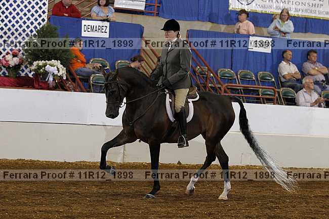 Proof 11r12_1898