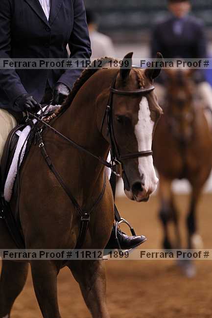 Proof 11r12_1899