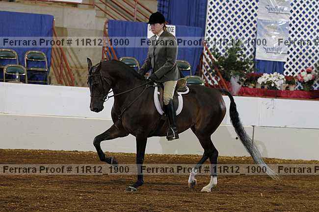 Proof 11r12_1900