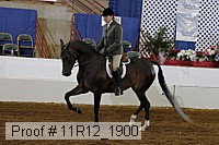 11r12_1900 proof