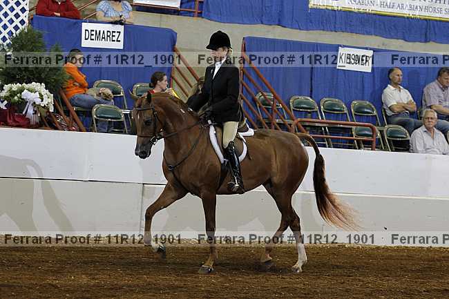 Proof 11r12_1901