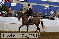 11r12_1901 proof
