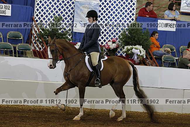 Proof 11r12_1902