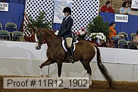 11r12_1902 proof