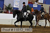 11r12_1903 proof