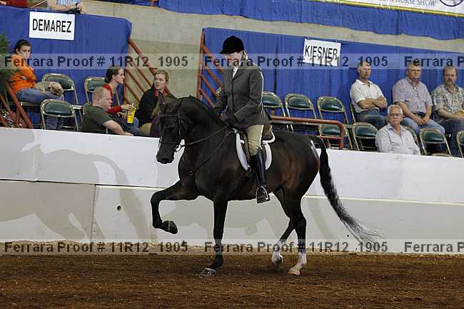 Proof 11r12_1905