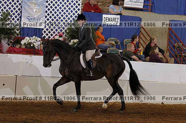 Proof 11r12_1906