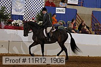 11r12_1906 proof