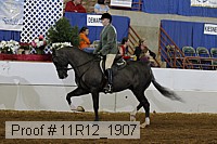 11r12_1907 proof