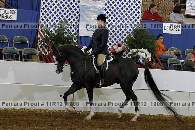 Proof 11r12_1908