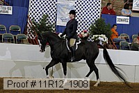 11r12_1908 proof