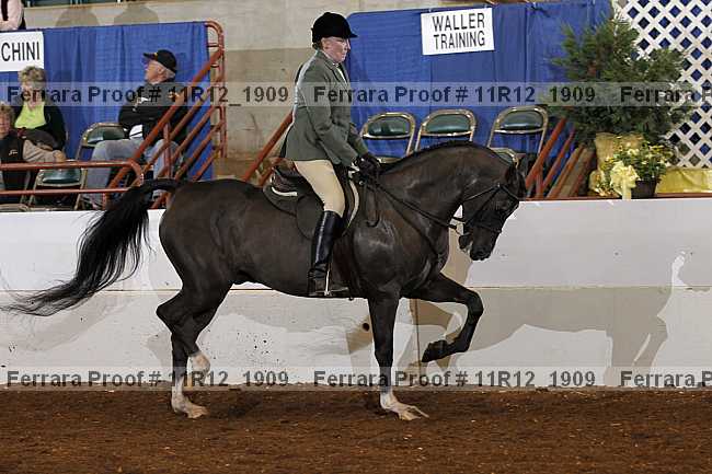 Proof 11r12_1909