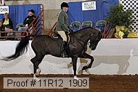 11r12_1909 proof