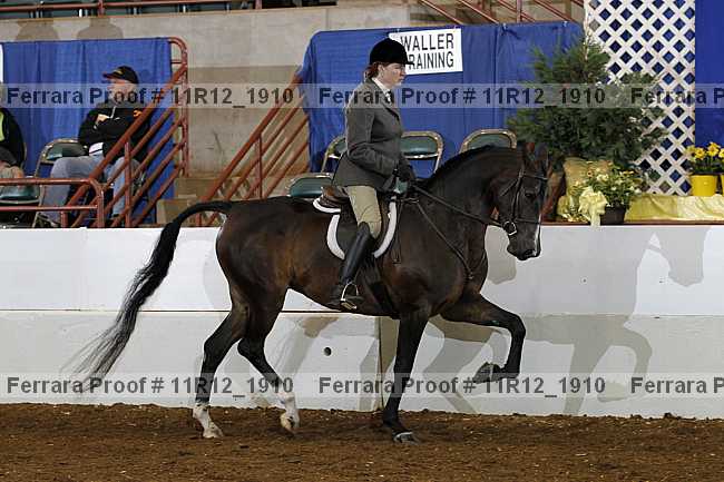 Proof 11r12_1910