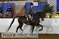 11r12_1910 proof