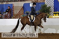 11r12_1911 proof