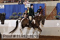 11r12_1913 proof