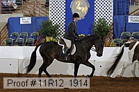 11r12_1914 proof