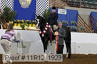 11r12_1923 proof