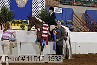 11r12_1933 proof