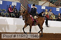 11r12_1946 proof
