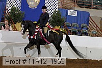 11r12_1953 proof