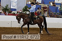 11r12_6722 proof
