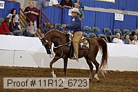 11r12_6723 proof