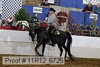 11r12_6725 proof