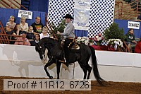 11r12_6726 proof