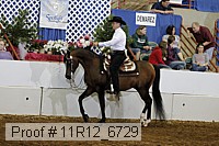 11r12_6729 proof