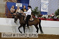 11r12_6730 proof
