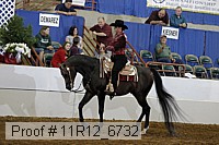 11r12_6732 proof