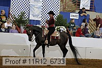 11r12_6733 proof
