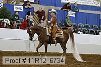 11r12_6734 proof