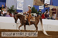 11r12_6735 proof