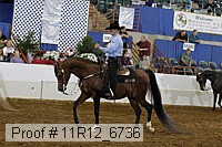11r12_6736 proof