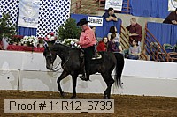 11r12_6739 proof