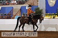 11r12_6741 proof