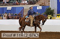 11r12_6742 proof