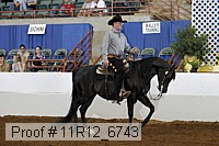 11r12_6743 proof