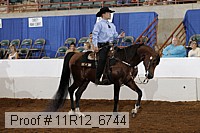 11r12_6744 proof