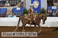 11r12_6745 proof
