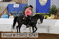 11r12_6747 proof