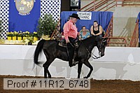 11r12_6748 proof
