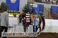 11r12_6754 proof