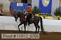 11r12_6765 proof