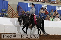 11r12_6766 proof