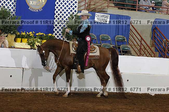 Proof 11r12_6771